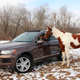 The 2014 Touareg TDI is considered a “generation two.” Photo: Andrew Collins
